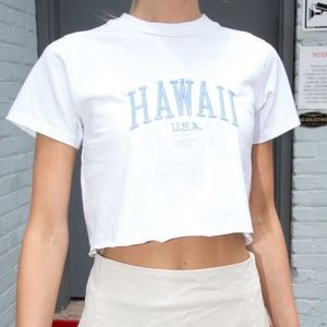 Rare Hawaii Brandy Melville Top